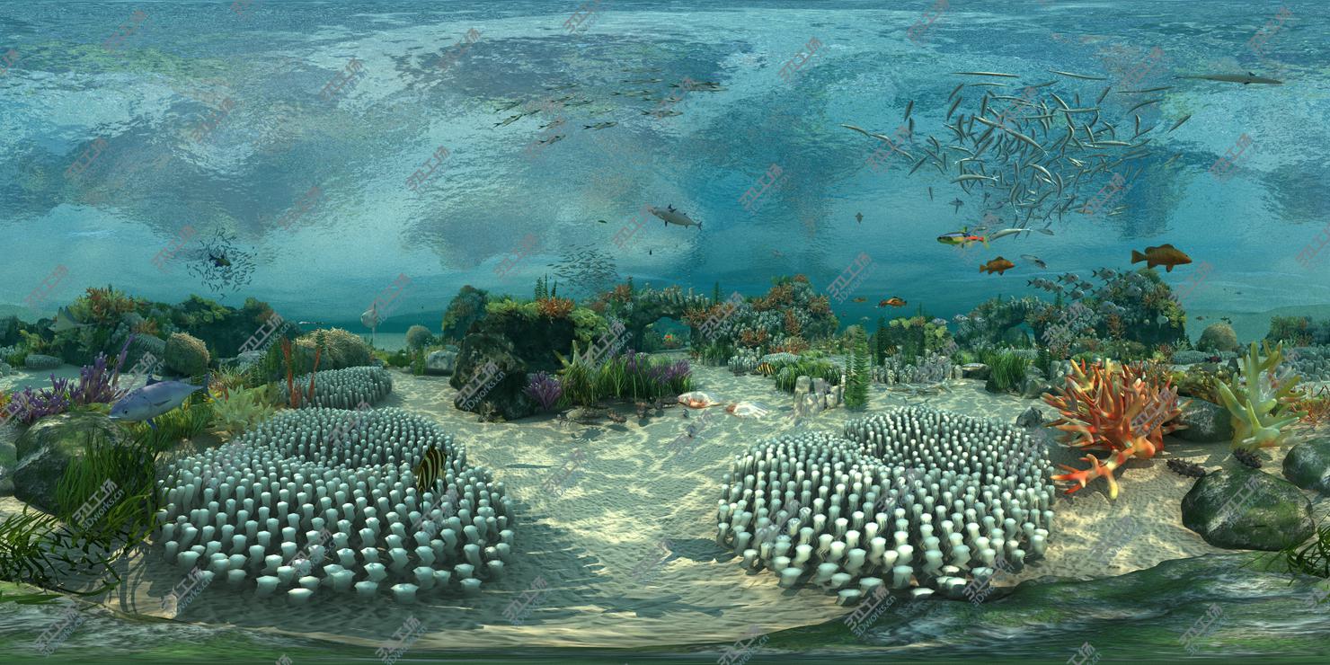 images/goods_img/2021040164/3D Ocean floor coral reefs  Shoal of fish/4.jpg